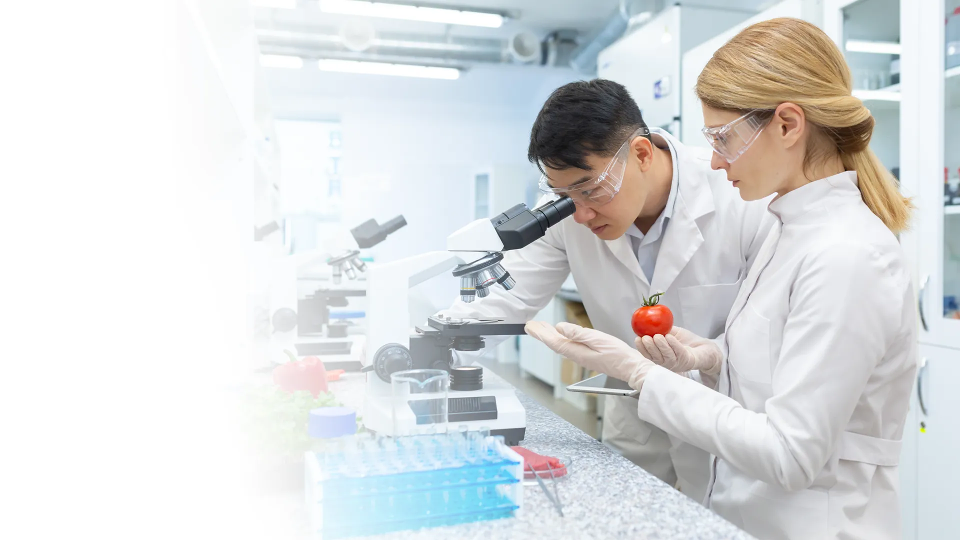 Quality through process.